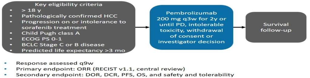 KEYNOTE-224 Study: Pembrolizumab στον ΗΚΚ Το