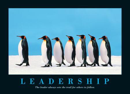 II. Ποια είναι τα σηµαντικότερα ηγετικά γνωρίσµατα και οι σηµαντικότερες ηγετικές συµπεριφορές; α.