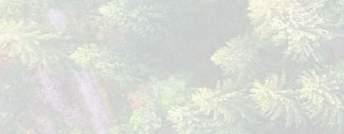 .. 271 ΕΞΟΠΛΙΣΜΟΣ ΑΤΟΜΙΚΗΣ ΠΡΟΣΤΑΣΙΑΣ Μπροστινό προστατευτικό ποδιών Chaps 270, μήκος 105 cm... 288 Προστατευτικό χεριών Protect MS...288/295 Αξεσουάρ: Ποδιά προστασίας MS.