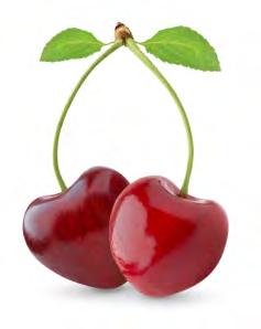 Floor Cherry Liquid -