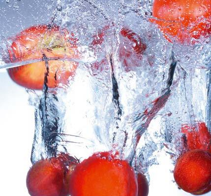 Verde Wash Φυσικό καθαριστικό για φρούτα και λαχανικά Συνέντευξη με τα μέλη της ομάδας ΠΑΡΟΥΣΙΑΣΕΙΣ ΣΧΕΔΙΩΝ ΜΑΡΚΕΤΙΝΓΚ Μάθημα «Ανάλυση Ανταγωνισμού & Έρευνα Αγοράς» H oμάδα Verde Wash αποτελείται από