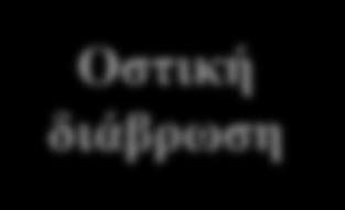 Οπδεηεξόθηια Μαθξνθάγα ή Δελδξηηηθά NO