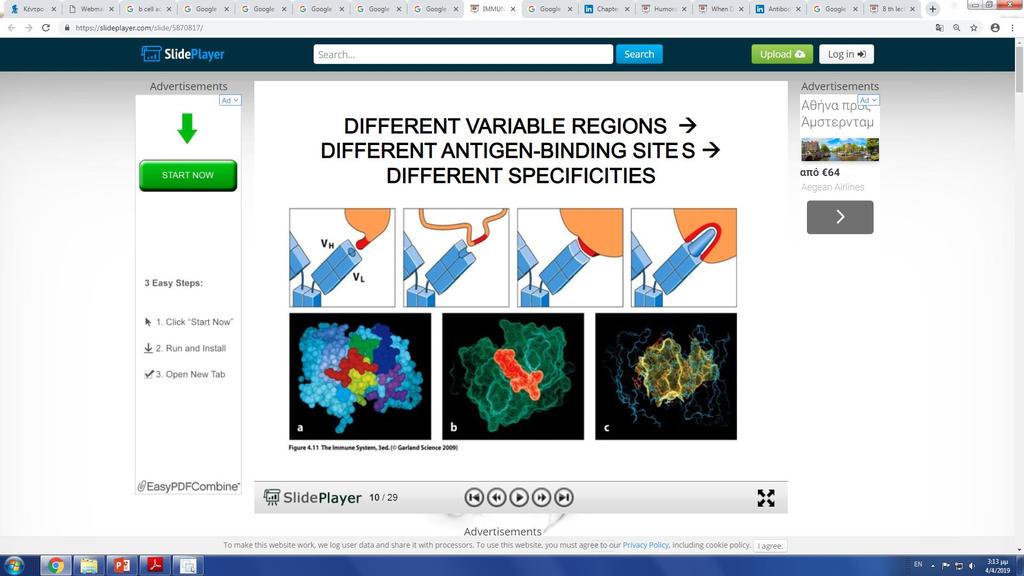 Different variable regions Different