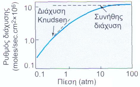 Pt T Y Y A A N A, A, Γz /P P cont N cont A, A t A, t A, μικρές : P t