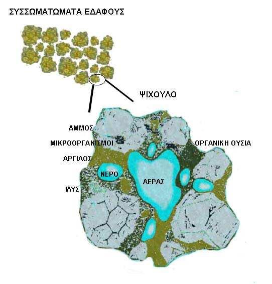 4.2 Ιδιότητες του εδάφους 3 φάσεις: a. Στερεή 50% b.