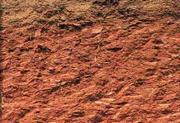 Μηχανική Σύσταση Εδάφους Αμμώδες έδαφος Αργιλώδες έδαφος Άμμος: Παρουσιάζει μειωμένη ικανότητα συγκράτησης νερού και θρεπτικών στοιχείων.