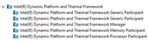 Πρόγραμμα οδήγησης Intel Dynamic Platform and Thermal Framework Βεβαιωθείτε ότι το πρόγραμμα οδήγησης του Intel Dynamic Platform and Thermal Framework έχει ήδη εγκατασταθεί στον υπολογιστή.