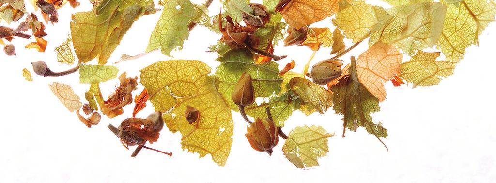 ბალახის ჩაი gamajansarebeli finjani naturaluri balaxebis unikaluri kompozicia Taflisa da balaxis tkbili aromatit. mis SemadgenlobaSi Sedis mayvlis fotlebi, eterzetebit mdidari anisuli da qacvi.