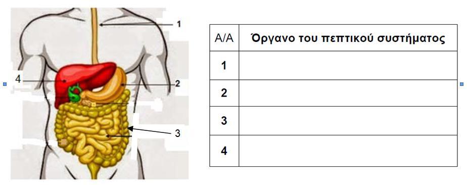 ΜΕΡΟΣ Α: Αποτελείται από δύο (2) ερωτήσεις. Κάθε ορθή απάντηση βαθμολογείται με δυόμιση (2,5) μονάδες. Να απαντήσετε σε όλες τις ερωτήσεις.