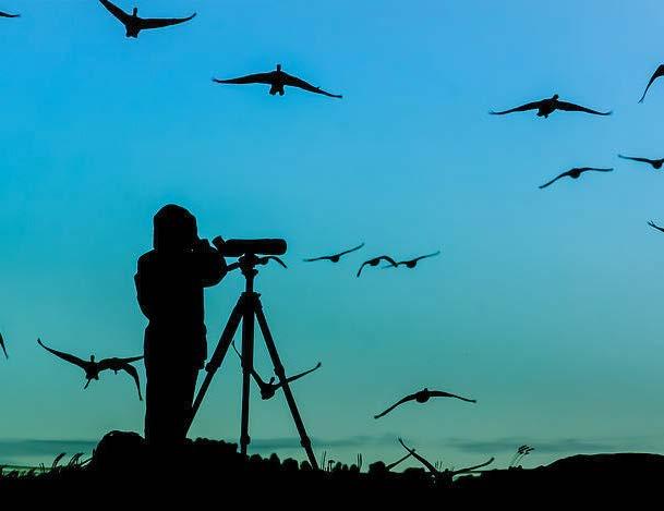 platalea ενημερωτικό δελτίο τεύχος 6o του Φορέα Διαχείρισης