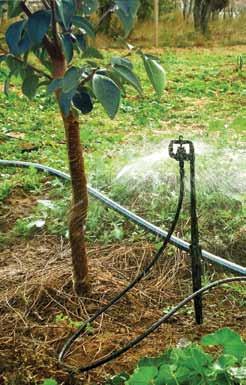 ROTATING BUTTERFLY SPRINKLER LARGE DISTANCE TECHNICAL DATA