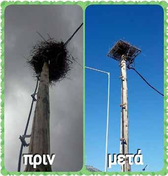 Στόχος της παρακολούθησης είναι να εντοπιστούν τυχόν απειλές για τη ζωή του λευκού πελαργού, όπως η εκβιομηχάνιση, η μονοκαλλιέργεια, η χρήση των χημικών ουσιών στη γεωργία που οδηγούν στην