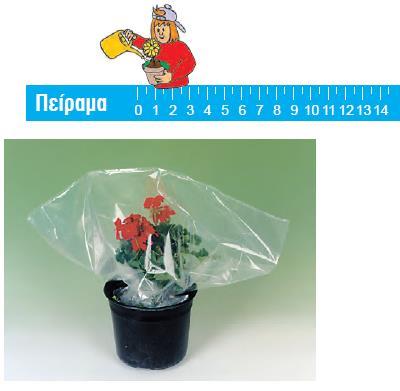 Η δασκάλα ή ο δάσκαλός σου έχει εδώ και μερικές ώρες σκεπάσει με μία διαφανή πλαστική σακούλα ένα φυτό, που είχε πρωτύτερα ποτίσει με άφθονο
