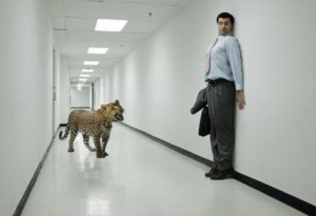 Από την άλλη πλευρά η άδηλη μνήμη δεν βασίζεται στη γλώσσα. Αφορά διαδικασίες και εσωτερικές καταστάσεις, οι οποίες είναι αυτόματες.