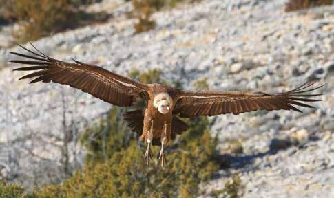 Το Δίκαιο του Περιβάλλοντος και το Δίκτυο NATURA 2000 Οδηγός του πολίτη ανεξάρτητα αν έχουν υποστεί περιουσιακή ζημία, προς υποστήριξη της κατηγορίας και μόνο και με αίτημα ιδίως την αποκατάσταση των