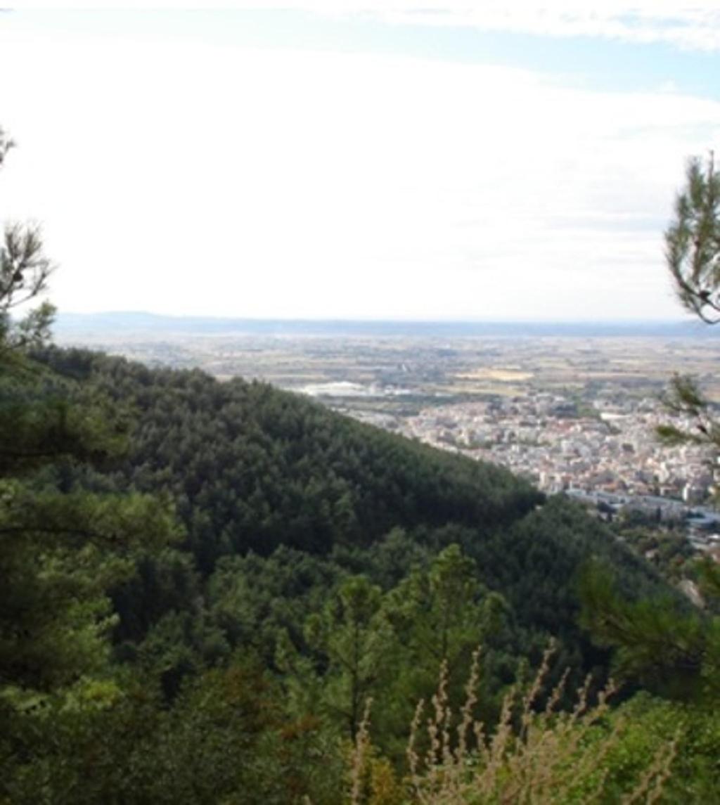 ΠΕΡΙΕΧΟΜΕΝΑ 1. Περιαστικά δάση κωνοφόρων στη Μεσόγειο 4 2. Το ερευνητικό έργο FoResMit 7 3.