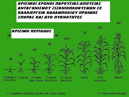 Εικόνα 3.