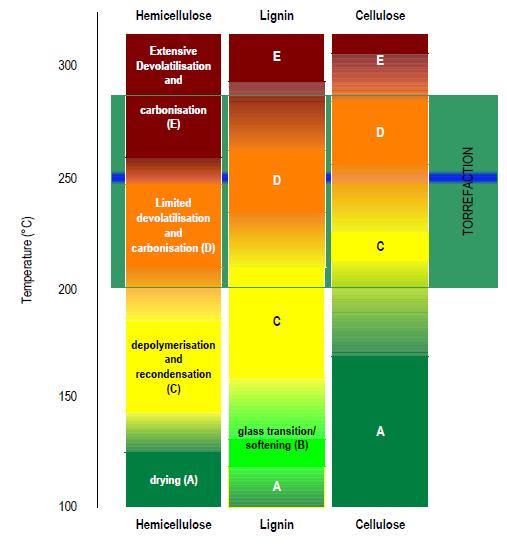 Torrefaction Τοροποίηση Α: Ξήρανση B: Μαλακώνει η λιγνίνη C: Αποπολυμερισμός και συμπύκνωση μικρότερων πολυμερών στην δομή του στερεού.