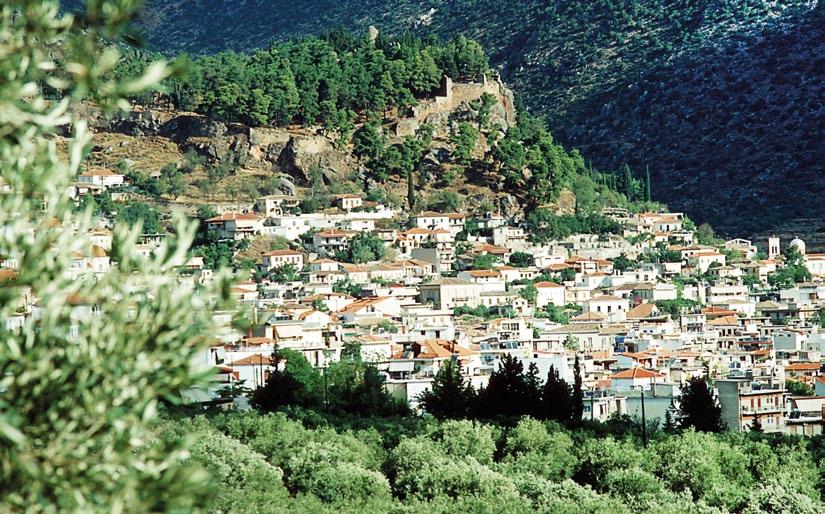 Άμφισσα ΙΤΕΑ H Άμφισσα είναι η πρωτεύουσα της Περιφερειακής Ενότητας Φωκίδας και της τέως επαρχίας Παρνασσίδας, με πληθυσμό 6.919 κατοίκους (Απογραφή 2011).