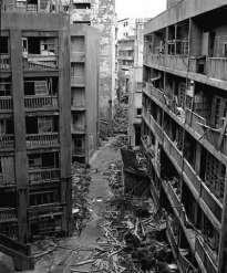 Το 1959 σε καταμέτρηση που είχε γίνει, ο πληθυσμός είχε υπερδιπλασιαστεί και η πυκνότητα ήταν 835 άτομα ανά εκτάριο για το σύνολο του νησιού (1.