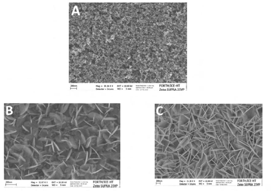 Σχήμα 27. Εικόνες SEM κάτοψης (Α) TiO 2(S-g) (Β) BiOI εναποτεθειμένο με 5 κύκλους SILAR (C) έναποτεθειμένο με 15 κύκλους SILAR.