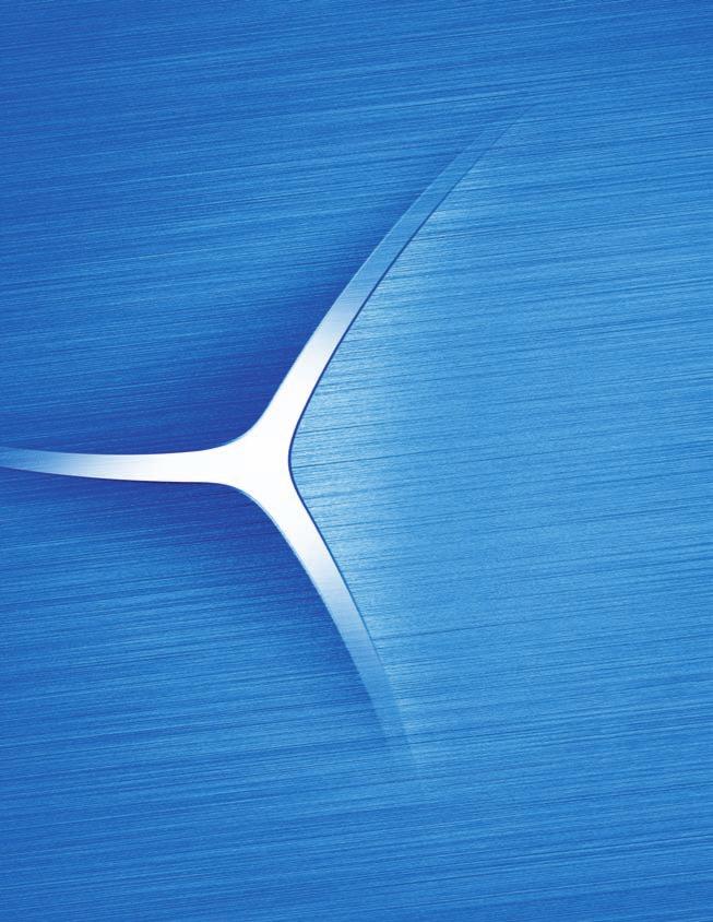 ANNUAL REPORT