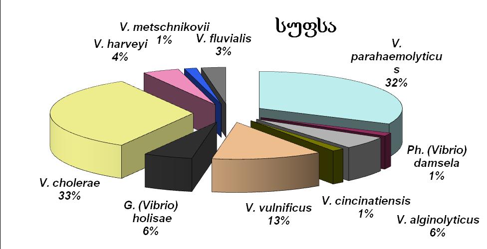 d grafiki 2.