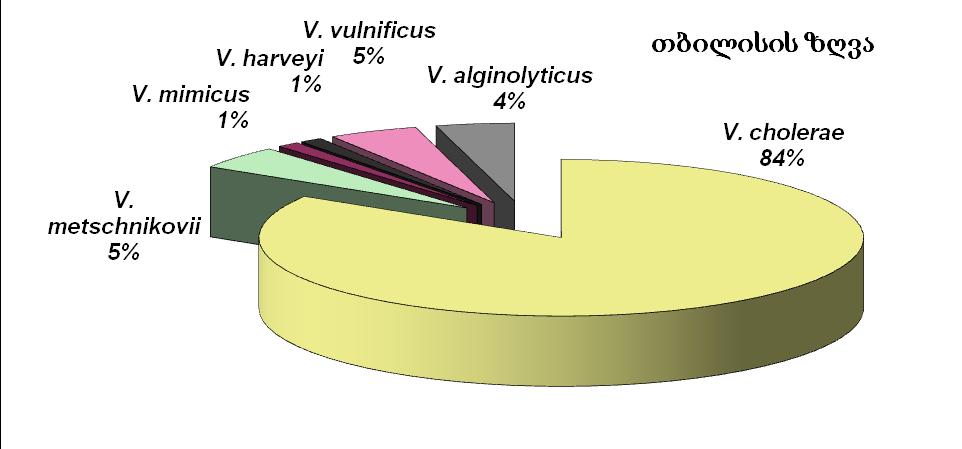 a b g grafiki 4.