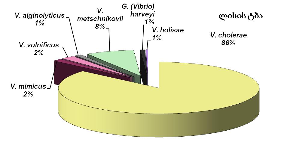 wylis sinjebidan: a)