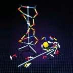 ΒΙΟΛΟΓΙΑ - DNA - ΓΕΝΕΤΙΚΗ > Μοντέλο DNA 60cm 46,90 (πλέον ΦΠΑ) Κωδικός: 203212 Ένα πραγματικά ρεαλιστικό Μοντέλο DNA 60cm ύψος.