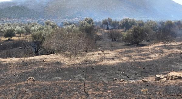 ηλεκτρομαγνητική επαγωγή, την παραγωγή ενός ηλεκτρικού κύματος από την αλλαγή της μαγνητικής έντασης, την αρχή λειτουργίας της ηλεκτρομαγνητικής γεννήτριας.