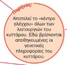 δασκάλα ή τον δάσκαλό