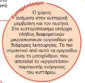 την πιο μικρή μονάδα