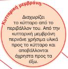 συμπλήρωσε στα