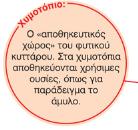χλωροπλάστες χυμοτόπιο