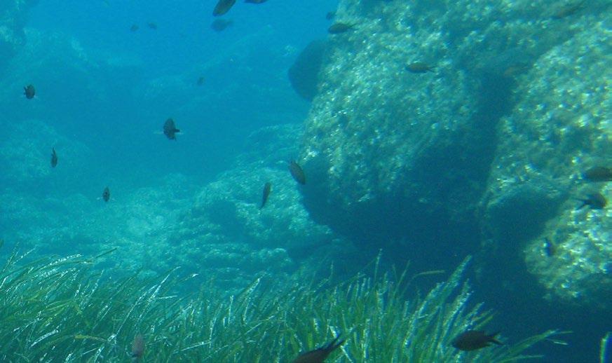Έκθεση Βιώσιμης Ανάπτυξης 2018 147 Η προστασία των θαλάσσιων οικοσυστημάτων αποτελεί ζήτημα υψηλού ενδιαφέροντος και για τη διεθνή κοινότητα, ενώ αποτελεί και σημαντική απαίτηση στην περιοχή