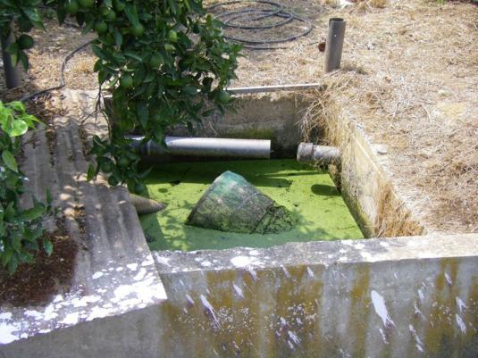 Eντομολογικι επιτιρθςθ ςτο διμο Ευρϊτα Λακωνίασ (Μπενάκειο Φυτοπακολογικό Λνςτιτοφτο) Τφποσ δείγματοσ Προνφμφεσ και νφμφεσ Δειγματολθψίεσ Αρικμόσ δειγμάτων 78 1303 Παγίδεσ 90