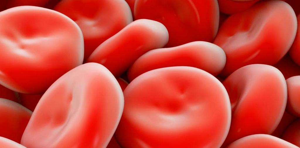 Μέθοδοι επεξεργασίας αίματος : χαρακτηριστικά προϊόντων και