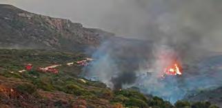 Από την πρώτη στιγμή, ισχυρές πυροσβεστικές δυνάμεις αποτελούμενες από 64 πυροσβεστικούς υπαλλήλους με 22 οχήματα έδωσαν ολονύχτιες μάχες με τις φλόγες ώστε να ελεγχθεί το μέτωπο.