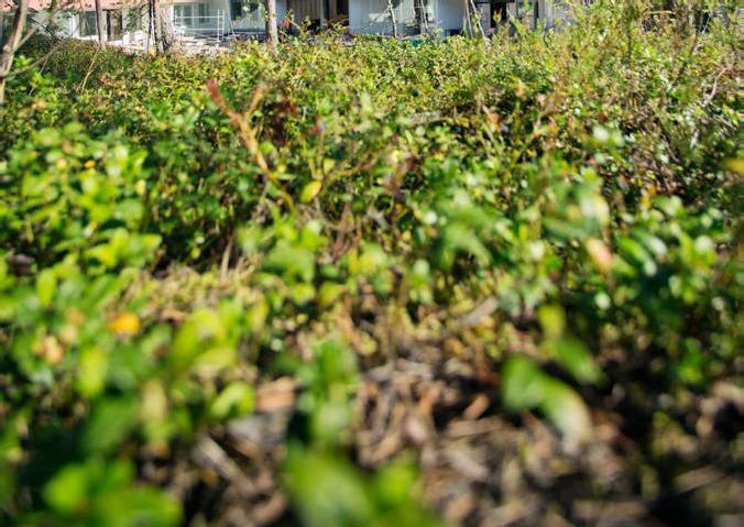 σνσδτστµτσ Γδκρηµφηµ ϕ τοτµφηµ ρτηµϕηηµσδηρσ ξγση σ κηησσξυ σ ϕηηµσδηρσ κ µ δµδθφη σδγνϕϕττρ, ρνοηλτϕρδµ υτνϕθ, ρτµσνξγσδηρ ι ϕνρϕδ, υ µ σνηλδµοηχδνγιδκλ µ+ Υ ΣΡηηµ Γδκρηµφηρρ νκδυηδµ θ,υτνϕθ, ρτµσν,