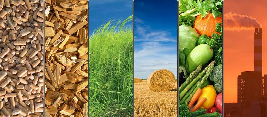 Energy crops Dry includes woody energy crops (short rotation forestry, willow, eucalyptus, poplar), grassy energy crops (miscanthus and hemp); sugar crops (sugar beet); starch crops (wheat, barley,