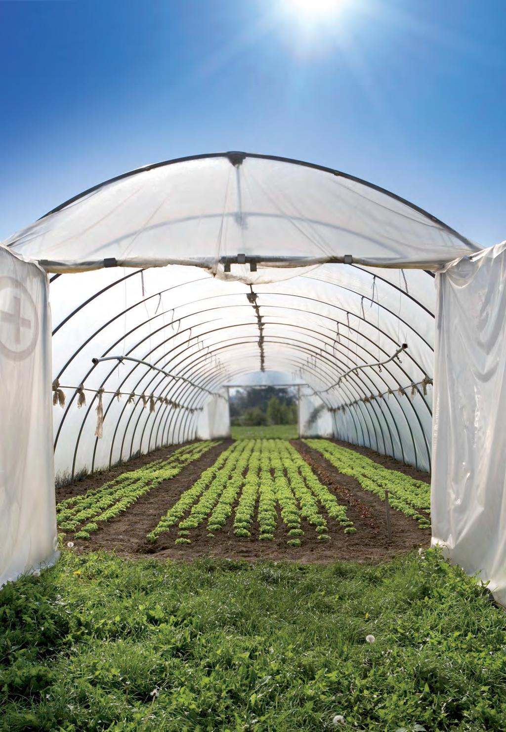 6 Industrial applications GREEN HOUSES The need of cheap and environment friendly heating in the plantations has caused more and more commercial greenhouse growers to switch their oil and propane