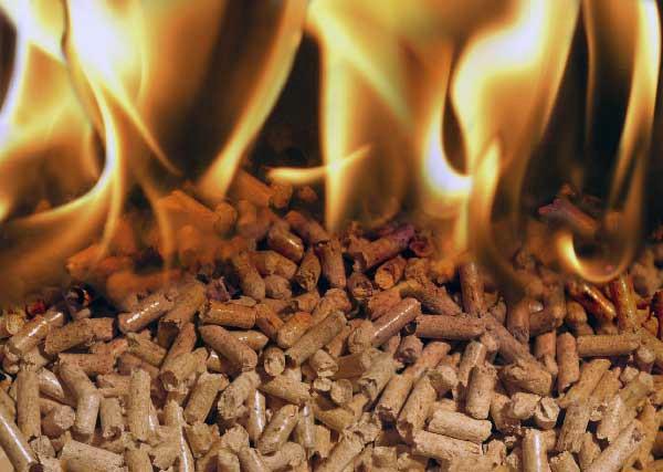 6 introduction Wood Pellets Wood pellets have increased tremendously in popularity as a heating fuel during recent years, with many homeowners and commercial facilities choosing pellet stoves or