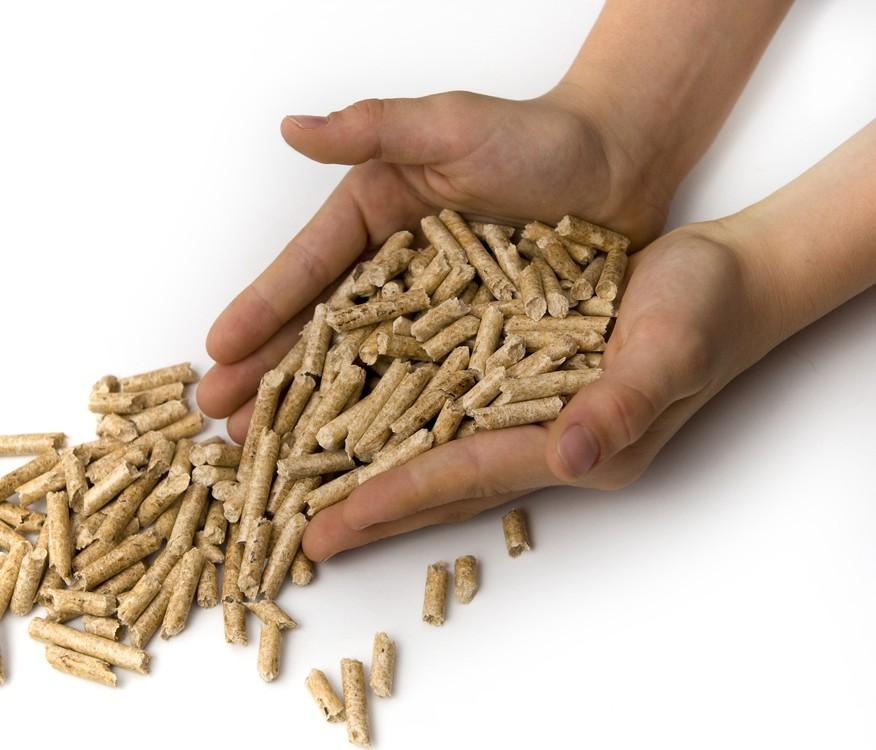 7 The standard shape of a fuel pellet is cylindrical, with a diameter of 6 to 8 millimeters and a length of no more than 38 millimeters.