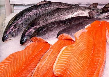 πουλερικών, στο γάλα, στα αυγά, αλλά και στα ψάρια και άλλα θαλασσινά (γαρίδες, οστρακοειδή κ.τ.λ.). Ο άνθρωπος λαμβάνει τη μεγαλύτερη ποσότητα διοξινών από την τροφή του, σε ποσοστό έως και 96%.