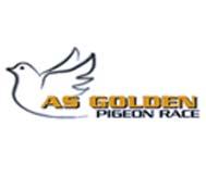 RO-34152 AGIM FUSHA ALP RACE TEAM ANDREAS BEHLKE ANDREAS WOLLENHAUPT ARI - SHPATI ASEN SPASOV A ASEN SPASOV B ATHANASIOU THANOS BERT PLOEG BJORN OVE HELGESEN A BOSKO JENJIC CELLI-GHIACCI-VALVO