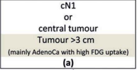 Revised ESTS guidelines for preoperative mediastinal lymph node staging for non-small-cell