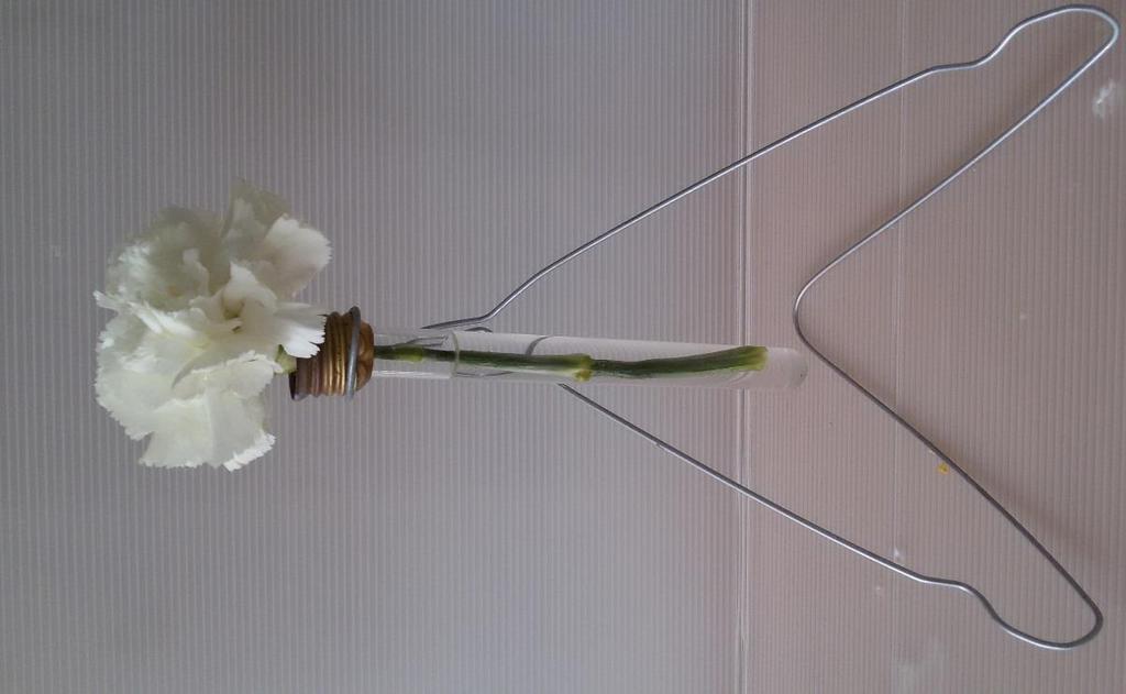 Γκλεμπ Ιορδάνου Δ Τίτλος: Βάζο λουλουδιών Μικρό βάζο λουλουδιών