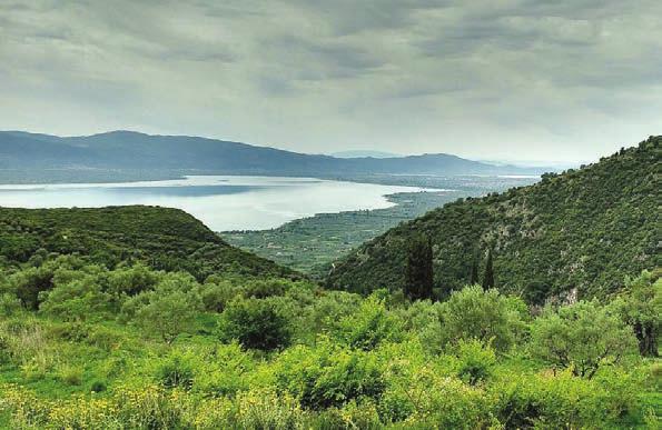 Περιορισμένος αριθμός θέσεων Τριχωνίδα ΔΕΛΦΟΙ Ορεινή ΝΑΥΠΑΚΤΙΑ...μοναδική από τη φύση της! Η εποχή των χρωμάτων, των αρωμάτων και των γεύσεων είναι στο αποκορύφωμα της.