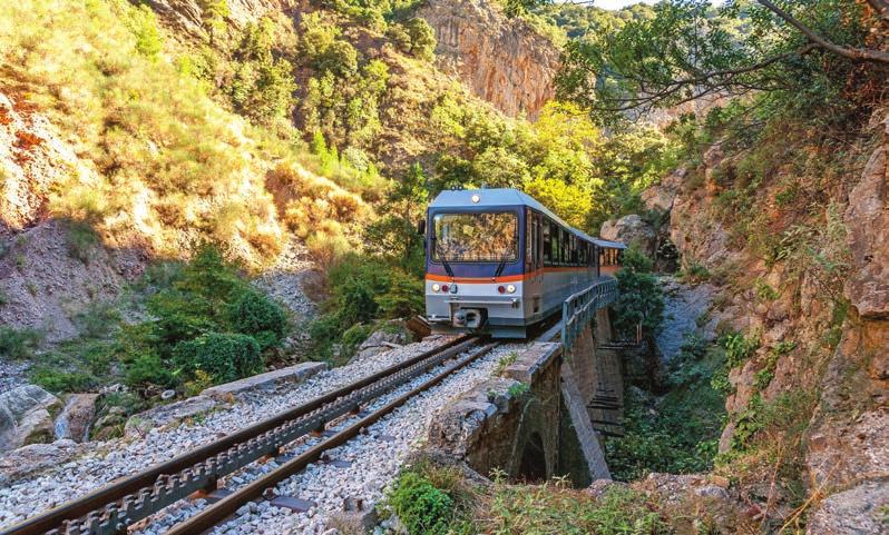 Χρόνος για καφέ και συνεχίζουμε με διαδρομή στο μεγαλύτερο παραθαλάσσιο δάσος της χώρας, δίπλα στην σπάνιας ομορφιάς και οικολογικής σημασίας λιμνοθάλασσα και υδροβιότοπους του Κοτυχίου (Ramsar).